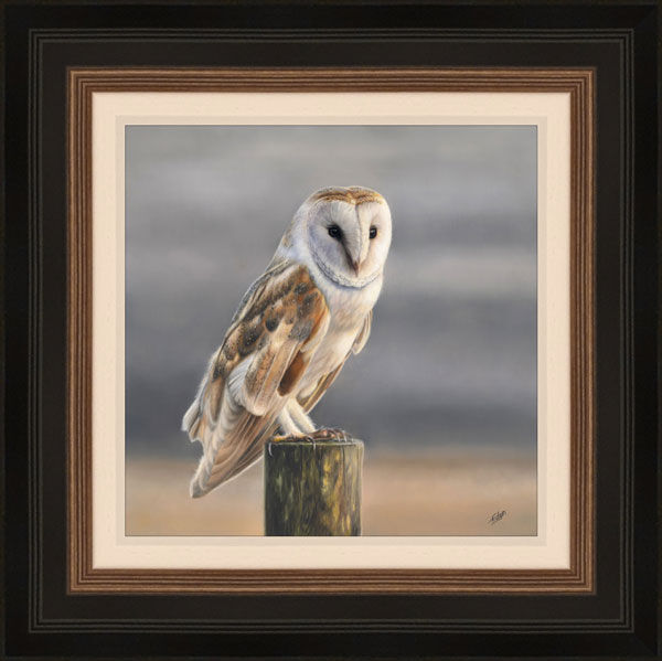 Serenity - Owl Framed Limited Edition Art Print by Sarah Eden