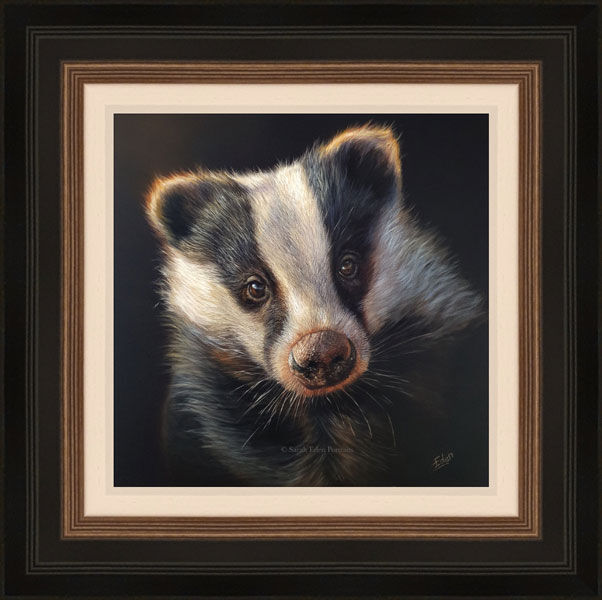 The Young Explorer - Badger Framed Limited Edition Art Print by Sarah Eden