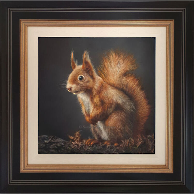 Little Red - Squirrel Framed Limited Edition Art Print by Sarah Eden