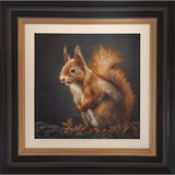 Little Red - Squirrel Framed Limited Edition Art Print by Sarah Eden