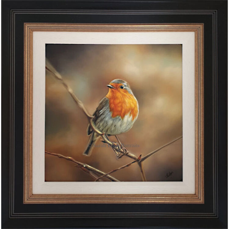 The Spectator - Robin Framed Limited Edition Art Print by Sarah Eden