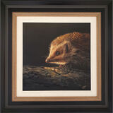 Scout - Hedgehog Framed Limited Edition Art Print by Sarah Eden