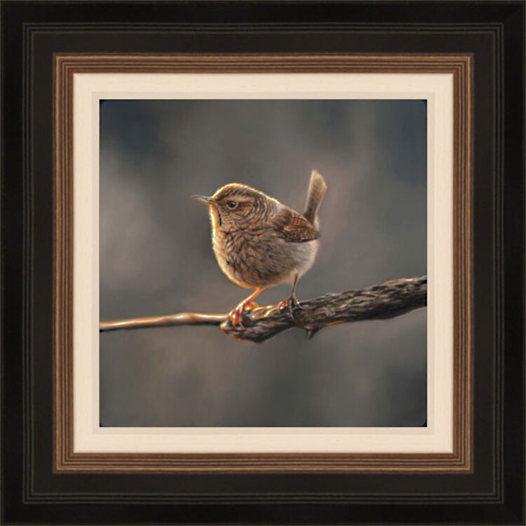 Small and Mighty - Wren Framed Limited Edition Art Print by Sarah Eden