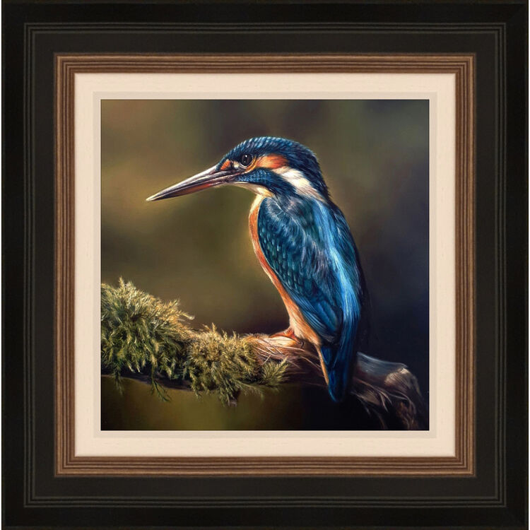 Majesty - Kingfisher Framed Limited Edition Art Print by Sarah Eden