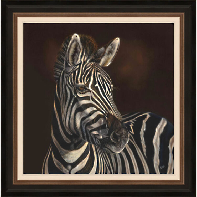 Zuri - Zebra Framed Limited Edition Art Print by Sarah Eden