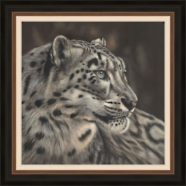Winters Eye - Snow Leopard Framed Limited Edition Art Print by Sarah Eden
