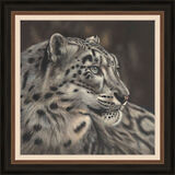 Winters Eye - Snow Leopard Framed Limited Edition Art Print by Sarah Eden