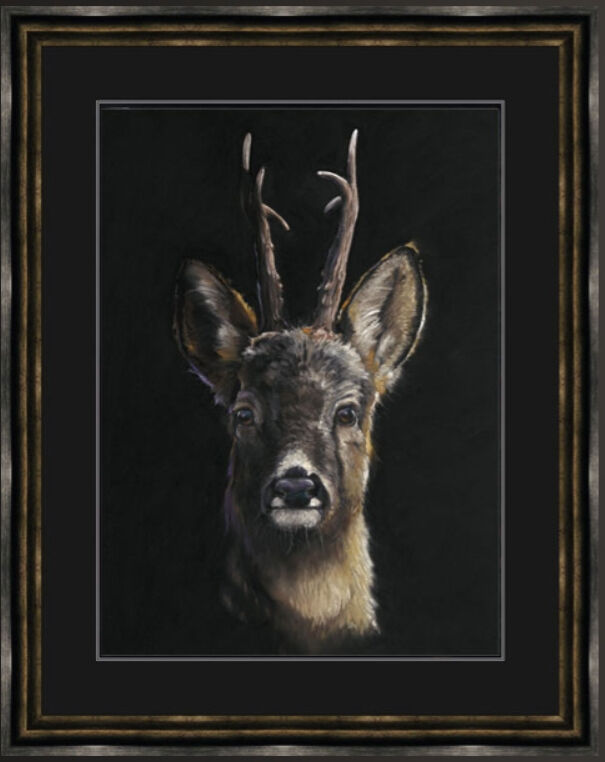 Roe Call - Roe Deer Framed Limited Edition Art Print by Kay Johns