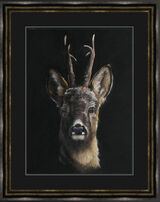 Roe Call - Roe Deer Framed Limited Edition Art Print by Kay Johns