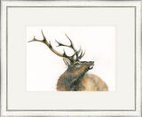 Monarch of the Glen - Stags Framed Limited Edition Art Print by Kay Johns