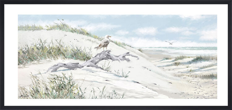 Driftwood Framed Art Print by Richard Macneil