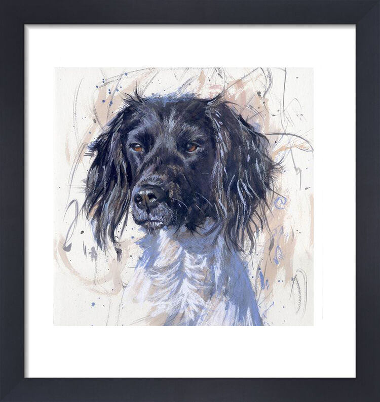 Springer Spaniel Framed Art Print by James Bartholomew