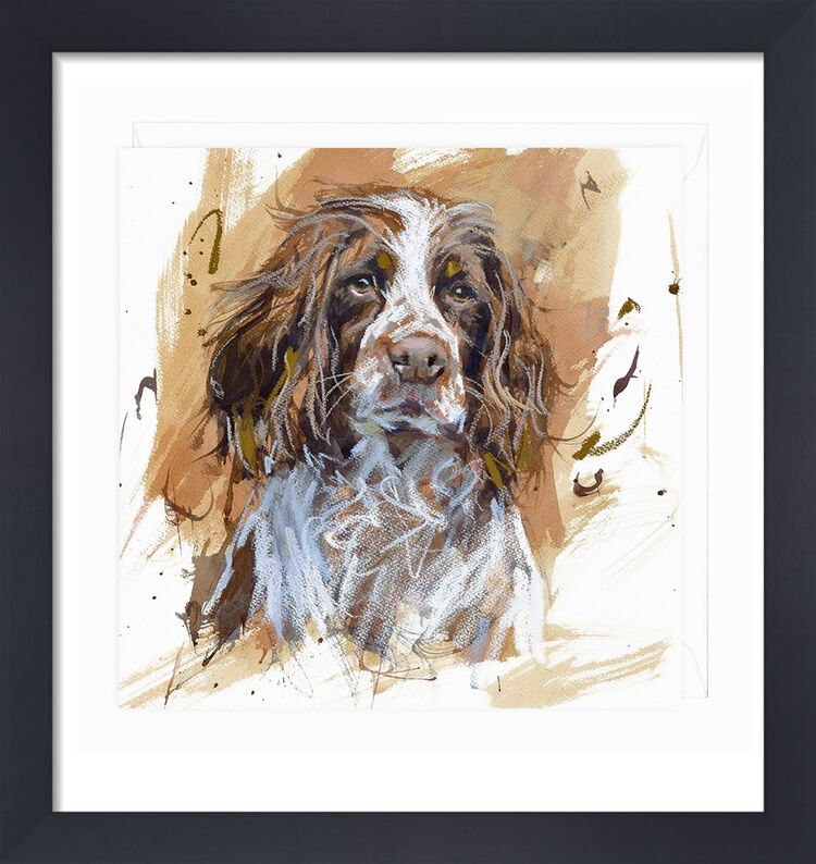 Springer Spaniel Framed Art Print by James Bartholomew