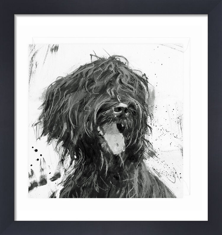 Briard Framed Art Print by James Bartholomew