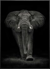 Ngorongoro Bull Premium Framed Art Print by Mario Moreno