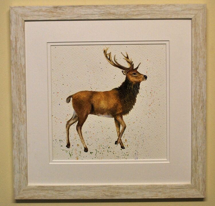 Stag Framed Pen and Ink Original Art by Clare Thompson