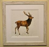 Stag Framed Pen and Ink Original Art by Clare Thompson