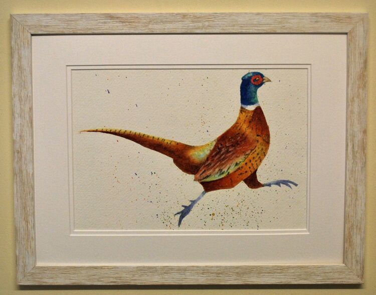 Running Pheasant Framed Pen and Ink Original Art by Clare Thompson