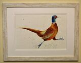 Running Pheasant Framed Pen and Ink Original Art by Clare Thompson