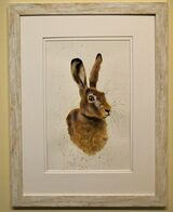 Hare Framed Pen and Ink Original Art by Clare Thompson