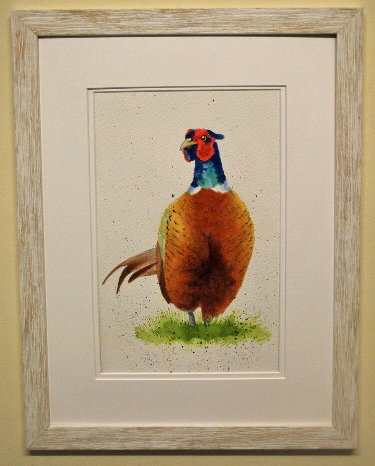 Pheasant Framed Pen and Ink Original Art by Clare Thompson