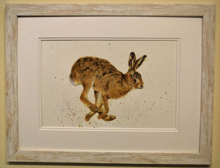 Running Hare Framed Pen and Ink Original Art by Clare Thompson