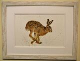 Running Hare Framed Pen and Ink Original Art by Clare Thompson