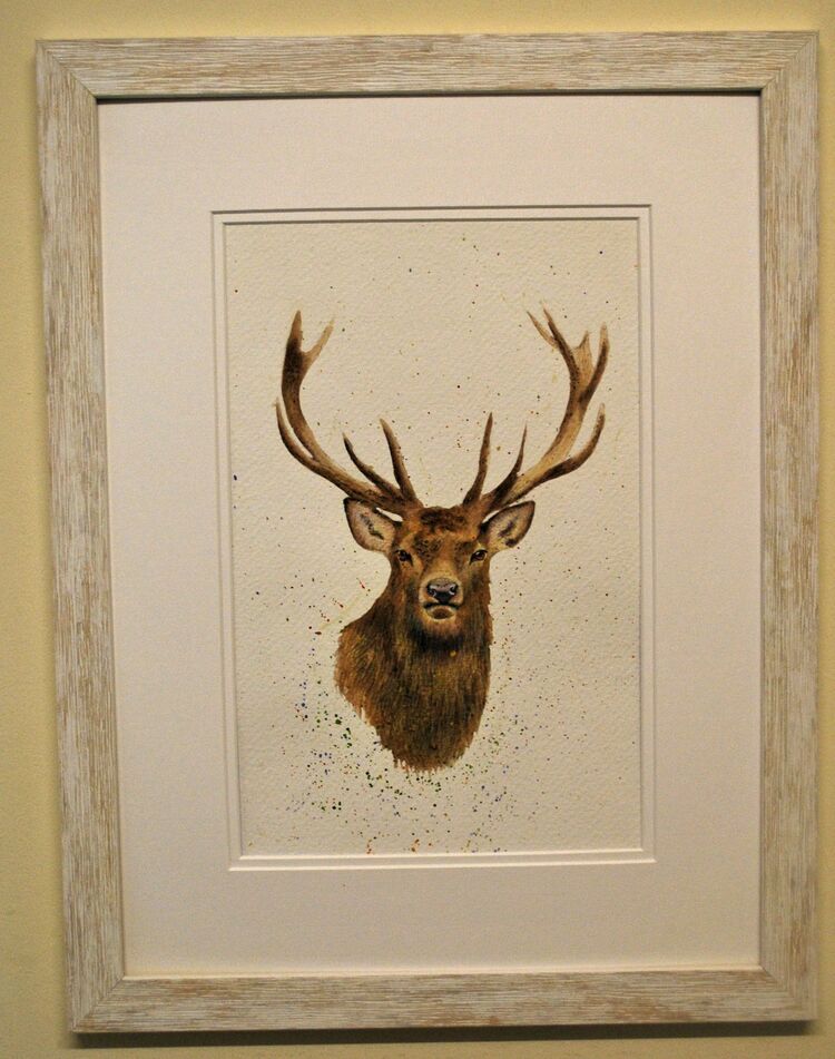Stag's Head Framed Pen and Ink Original Art by Clare Thompson