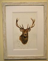 Stag's Head Framed Pen and Ink Original Art by Clare Thompson