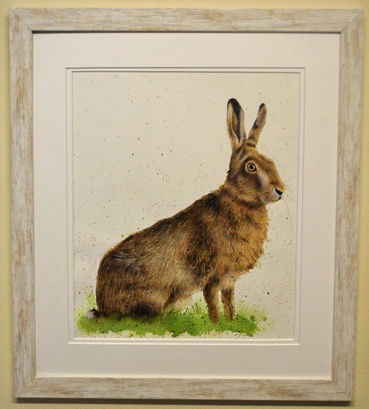 Sitting Hare Framed Pen and Ink Original Art by Clare Thompson