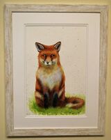 Sitting Fox Framed Pen and Ink Original Art by Clare Thompson