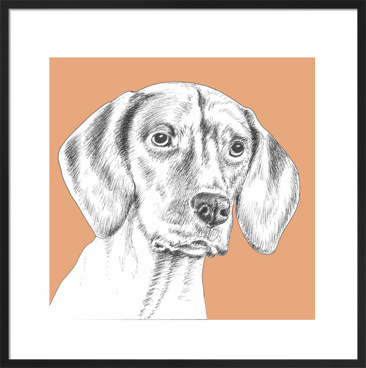 Vizsla by UK Collage artist and illustrator Clare Thompson