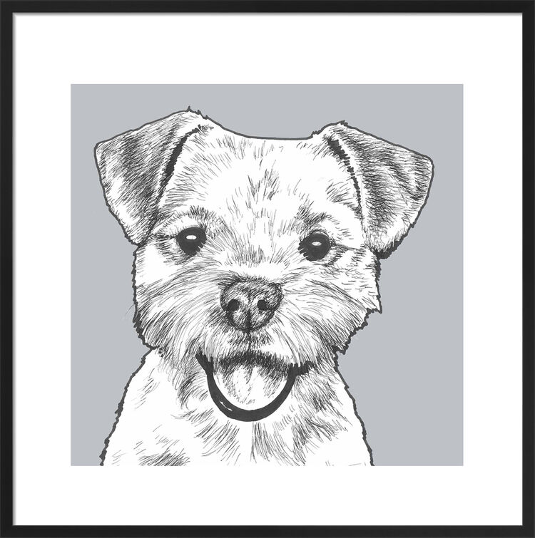 Border Terrier by UK Collage artist and illustrator Clare Thompson