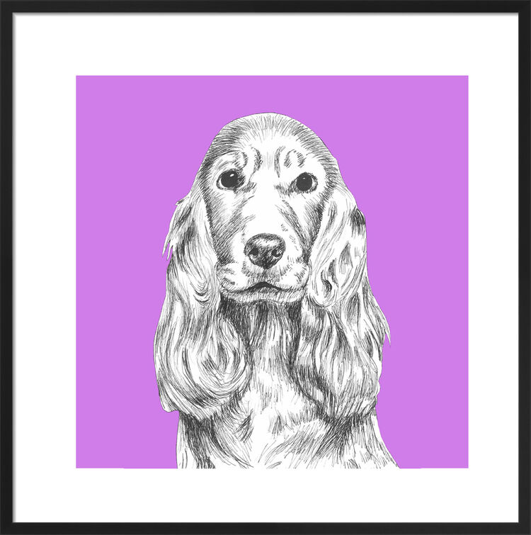 Cocker Spaniel by UK Collage artist and illustrator Clare Thompson