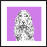 Cocker Spaniel by UK Collage artist and illustrator Clare Thompson