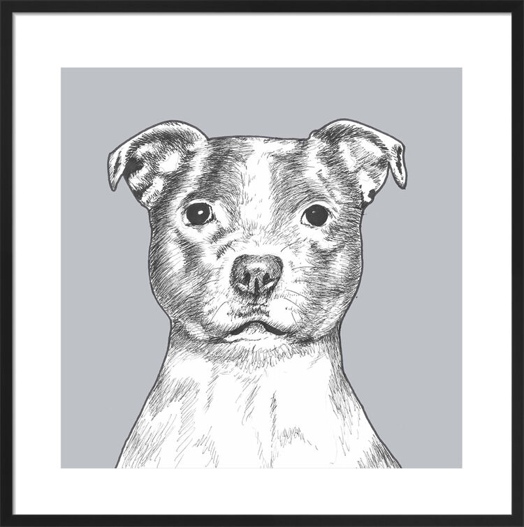 Staffordshire Bull Terrier by UK Collage artist and illustrator Clare Thompson