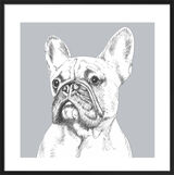 French Bulldog by UK Collage artist and illustrator Clare Thompson