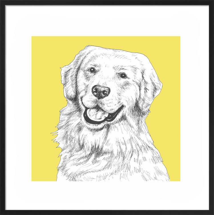 Golden Retriever by UK Collage artist and illustrator Clare Thompson