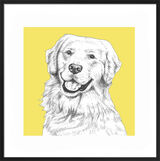Golden Retriever by UK Collage artist and illustrator Clare Thompson