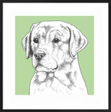 Labrador by UK Collage artist and illustrator Clare Thompson