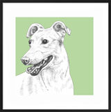 Greyhound by UK Collage artist and illustrator Clare Thompson