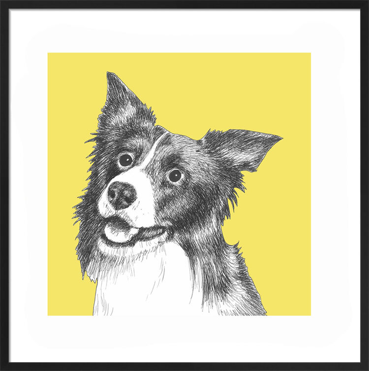 Border Collie by UK Collage artist and illustrator Clare Thompson
