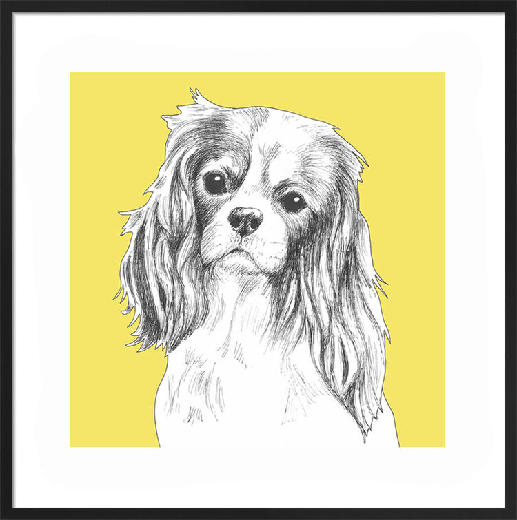 Cavalier King Charles Spaniel by UK Collage artist and illustrator Clare Thompson