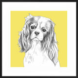 Cavalier King Charles Spaniel by UK Collage artist and illustrator Clare Thompson