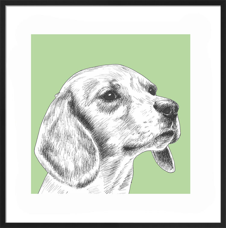 Beagle by UK Collage artist and illustrator Clare Thompson
