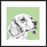 Beagle by UK Collage artist and illustrator Clare Thompson