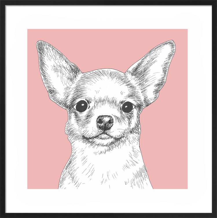 Chihuahua by UK Collage artist and illustrator Clare Thompson