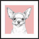 Chihuahua by UK Collage artist and illustrator Clare Thompson