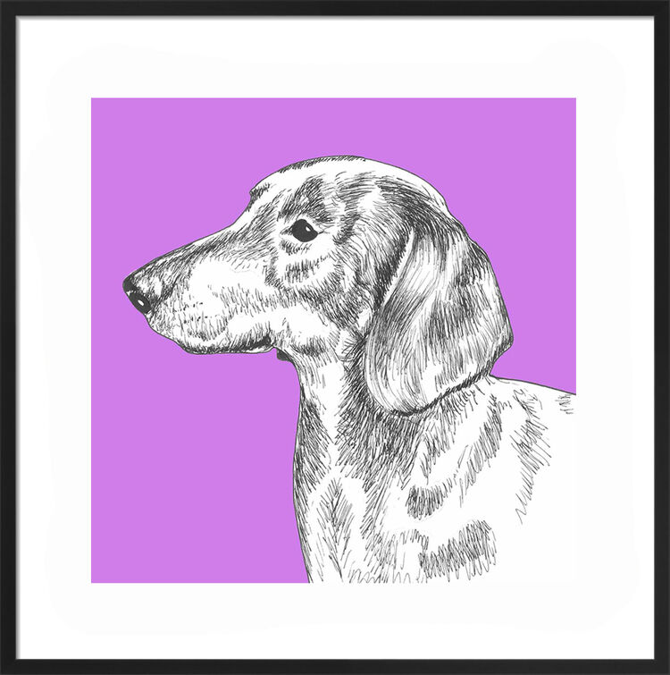 Dachshund by UK Collage artist and illustrator Clare Thompson