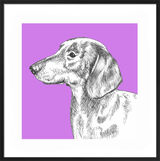Dachshund by UK Collage artist and illustrator Clare Thompson